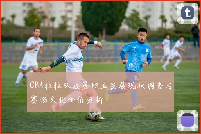 CBA拉拉队成员职业发展现状调查与赛场文化价值分析