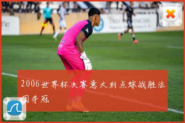 2006世界杯决赛意大利点球战胜法国夺冠