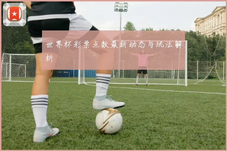 世界杯彩票点数最新动态与玩法解析