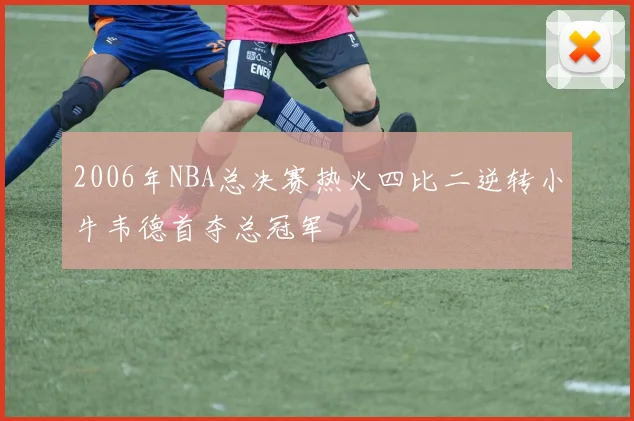 2006年NBA总决赛热火四比二逆转小牛韦德首夺总冠军