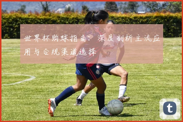 世界杯购球指南：深度剖析主流应用与合规渠道选择