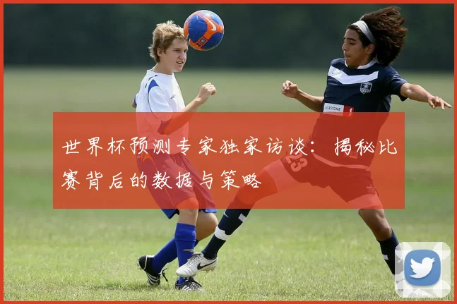 世界杯预测专家独家访谈：揭秘比赛背后的数据与策略