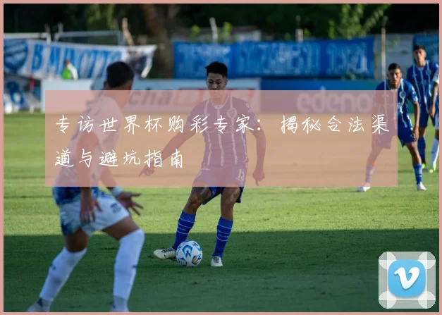 专访世界杯购彩专家：揭秘合法渠道与避坑指南