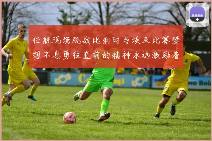 任航现场观战比利时与埃及比赛梦想不息勇往直前的精神永远激励着我们