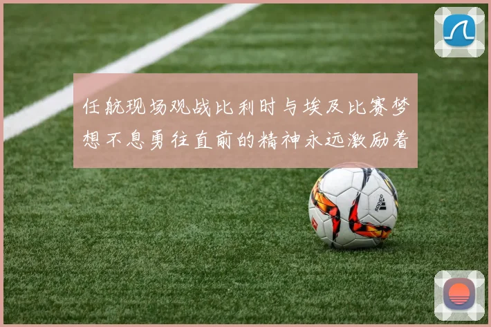 任航现场观战比利时与埃及比赛梦想不息勇往直前的精神永远激励着我们