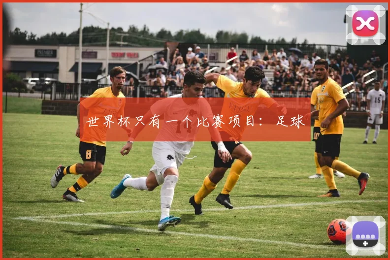 世界杯只有一个比赛项目:足球